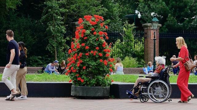Bezoekers lopen in de Apenheul waaronder een mevrouw in een rolstoel